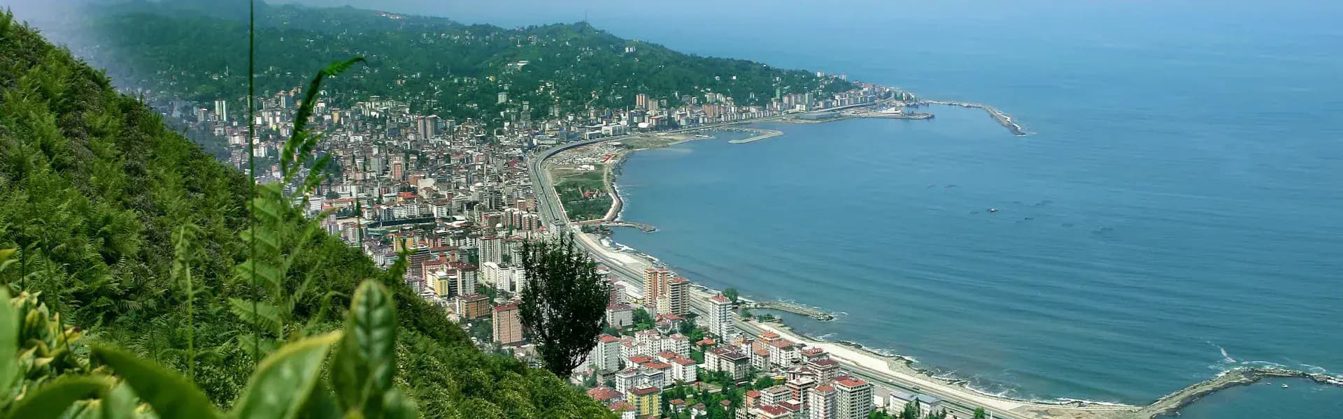 Rize real estate valuation
